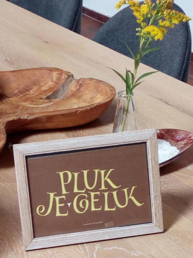 Letteratelier Driesprong Lägenhet Oedelem Exteriör bild
