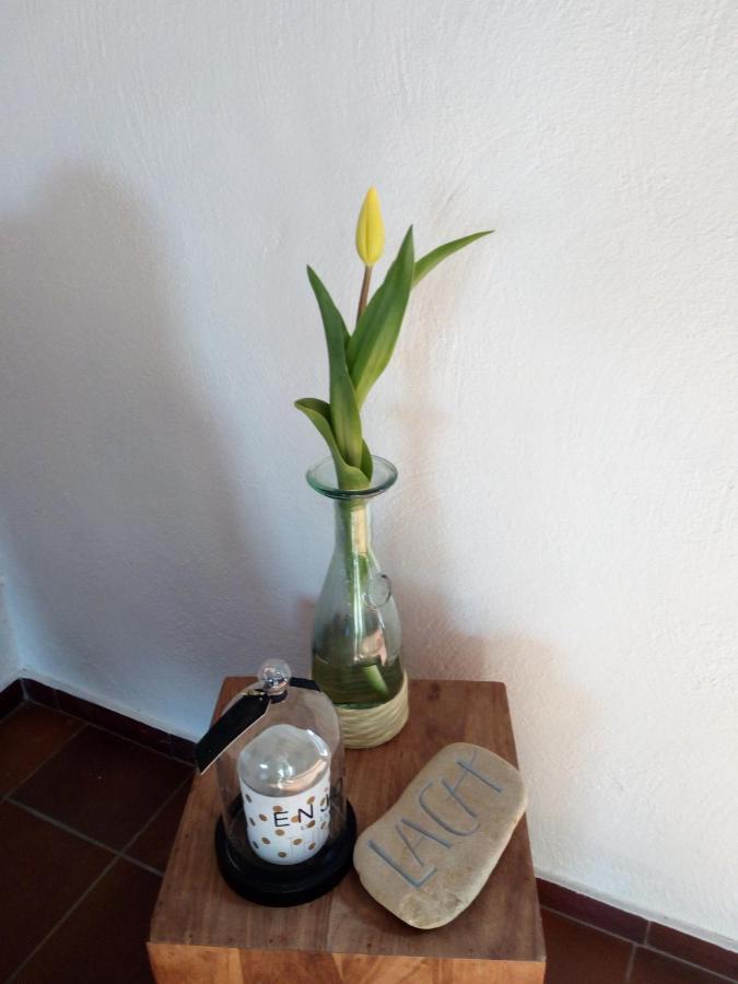 Letteratelier Driesprong Lägenhet Oedelem Exteriör bild